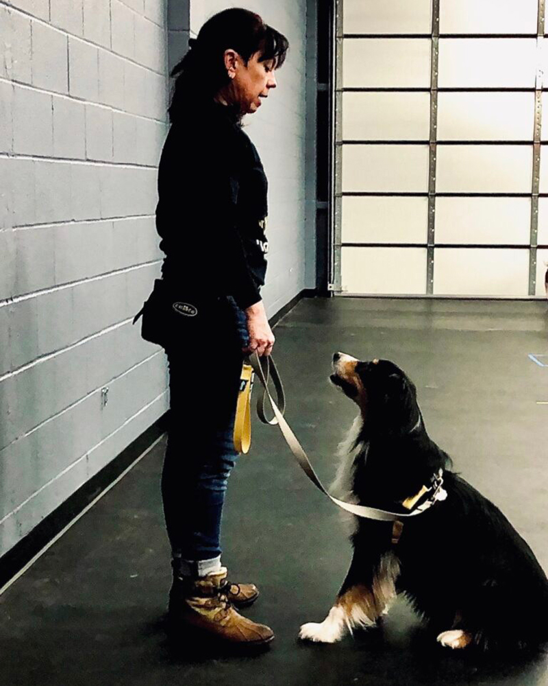 kelly spencer and her dog domino