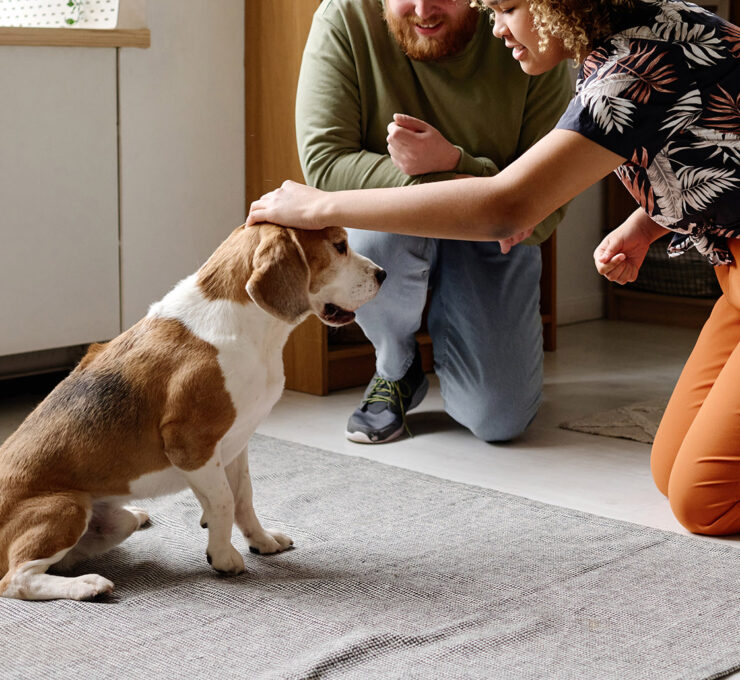 In-Home Private Lessons