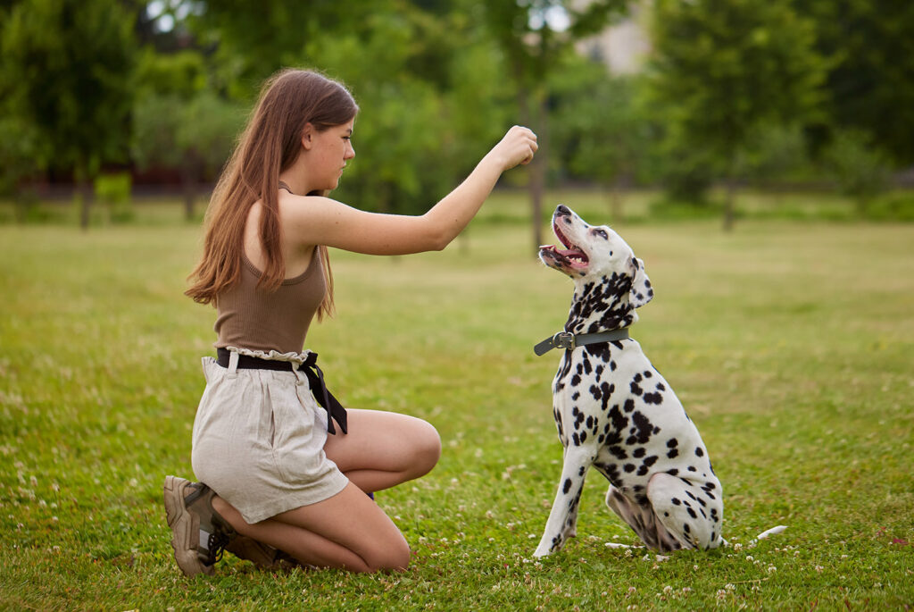 Basic Manners and Obedience